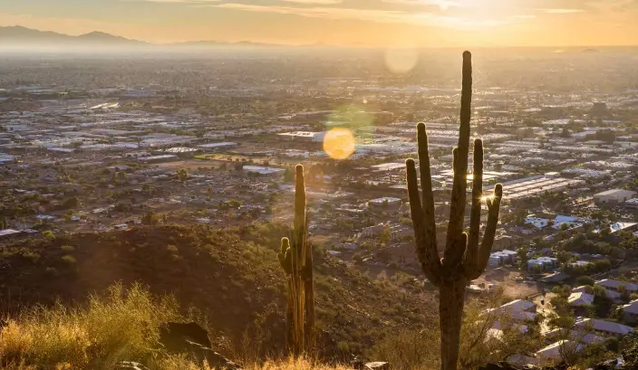 Desert landscape with cactus overlooking city at sunset